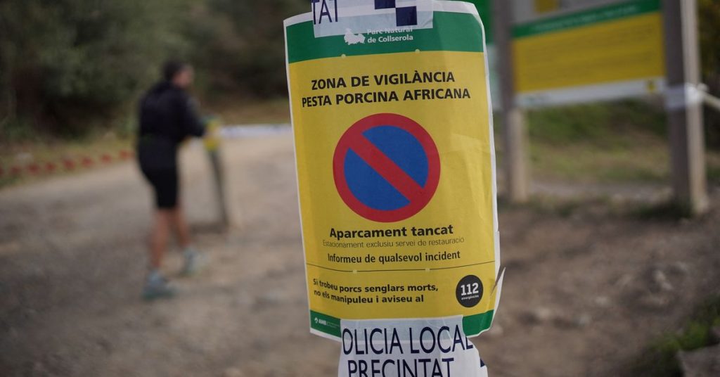 Análisis del gobierno catalán apuntan que el virus de la peste porcina africana no escapó de un laboratorio – Mundo Análisis del gobierno catalán apuntan que el virus de la peste porcina africana no escapó de un laboratorio - Mundo