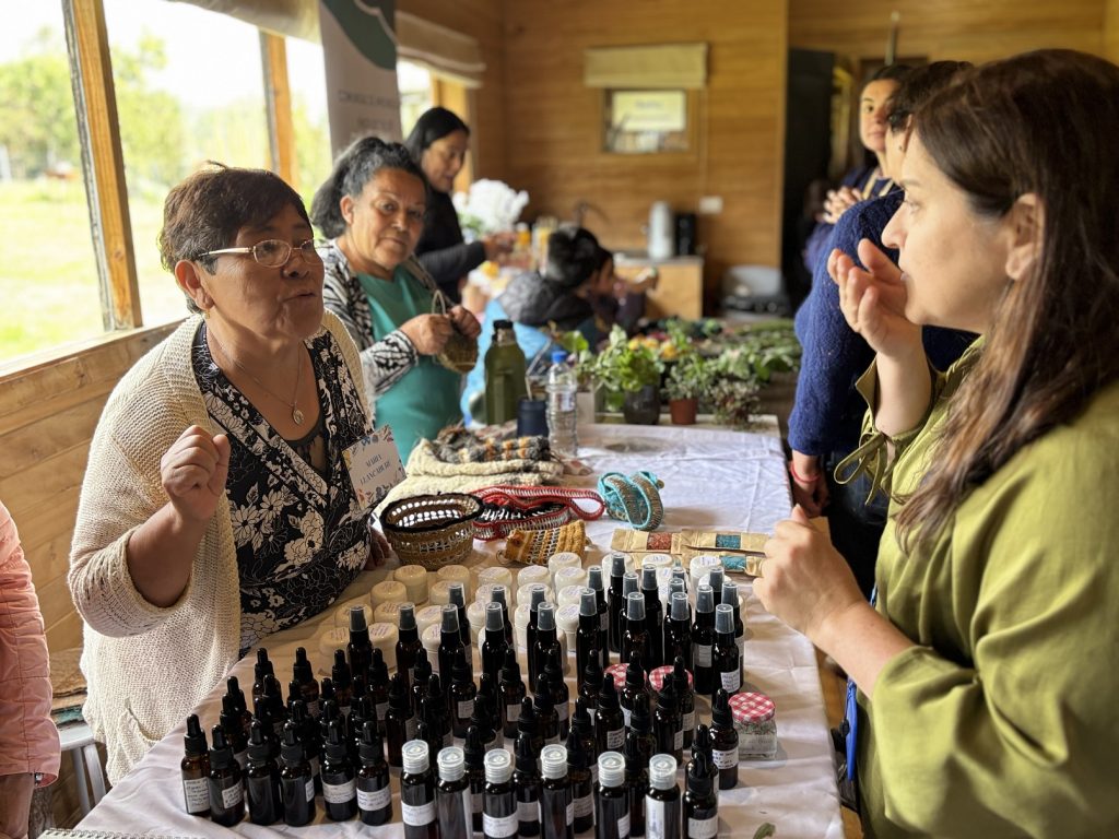 Cesfam Quillahue Finaliza Taller de Hierbas Medicinales con un Trafkintu