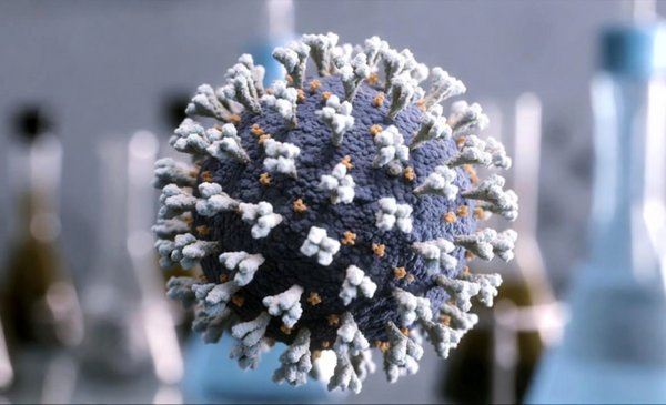 Cómo prevenir la influenza ante la detección de una nueva variante Cómo prevenir la influenza ante la detección de una nueva variante