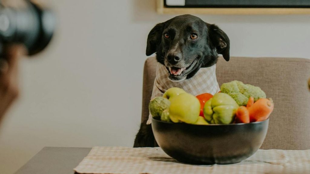 "Contiene sulfatos que destruyen los glóbulos rojos y pueden causar anemia"