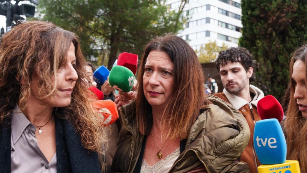 Detenidos Leire Díez, ‘fontanera’ del PSOE, y Vicente Fernández, ex presidente de la Sepi Detenidos Leire Díez, 'fontanera' del PSOE, y Vicente Fernández, ex presidente de la Sepi