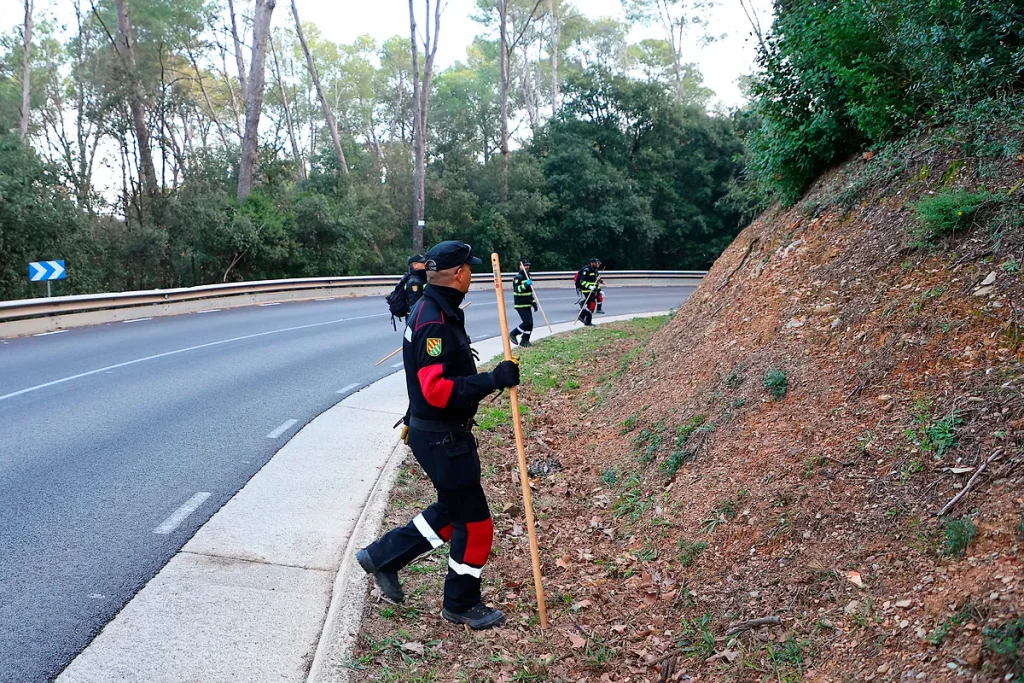 Encuentran 50 jabalíes muertos en la 'zona cero' de la sierra de Collserola (Barcelona) afectados por la peste porcina africana