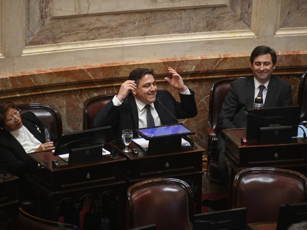 "Es mejor aprobar el Presupuesto antes de fin de año y después lo reparamos", admite un senador libertario