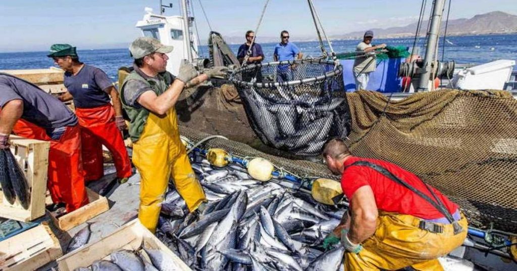 Gobierno de Panamá rechaza declaraciones sobre supuesta inacción contra la pesca ilegal – Nacionales Gobierno de Panamá rechaza declaraciones sobre supuesta inacción contra la pesca ilegal - Nacionales