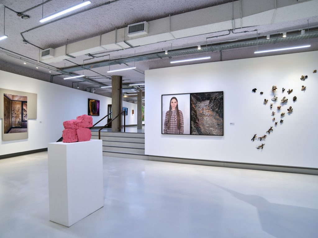 Humor, distancia crítica y cuerpos descendidos en el 28° Premio Klemm