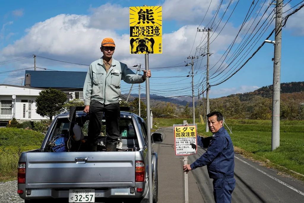 Japón enfrenta su más temible 'guerra' entre osos y humanos