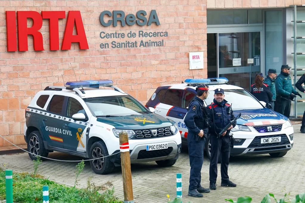 La Generalitat no encuentra coincidencias entre el virus de los jabalíes muertos por peste porcina africana en Barcelona y los del laboratorio IRTA-CReSA