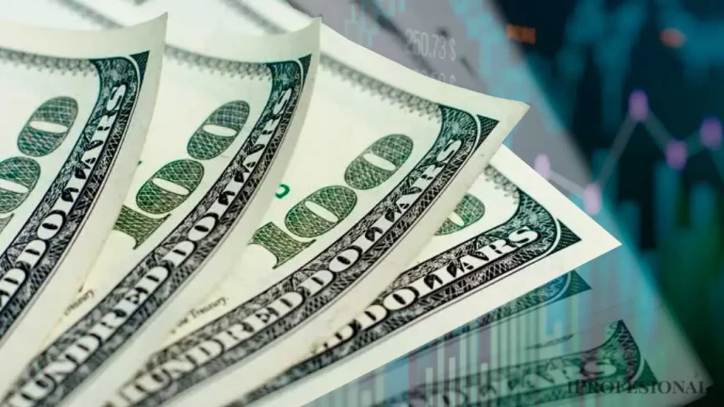 La compra de dólares se derrumbó después de las elecciones, según datos del BCRA