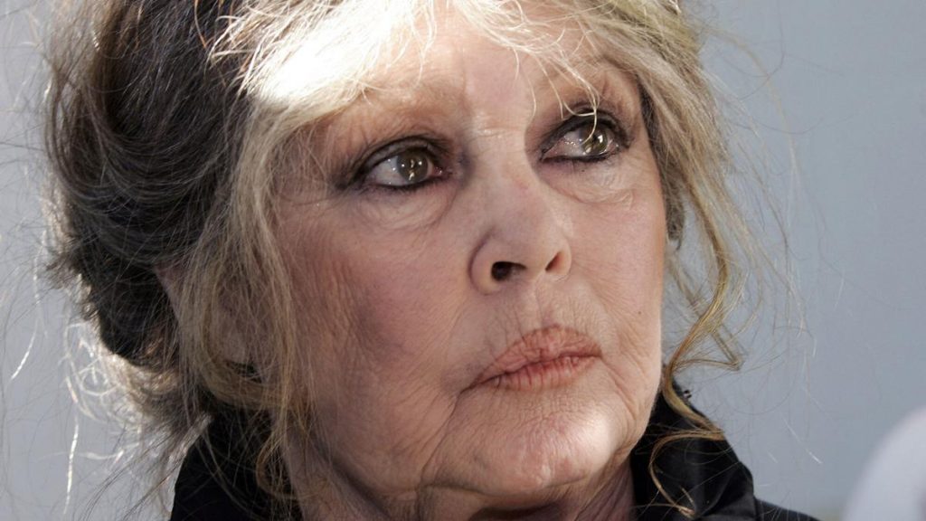 La extrema derecha de Le Pen rinde homenaje a Brigitte Bardot: "Una ferviente patriota"