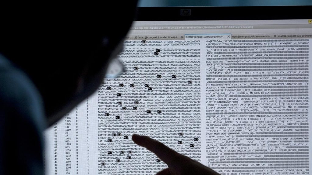 La inteligencia artificial reduce su propia huella La inteligencia artificial reduce su propia huella