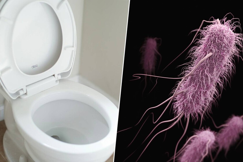 Llevamos toda la vida bajando la tapa del inodoro por higiene. La ciencia tiene malas noticias: no es suficiente Llevamos toda la vida bajando la tapa del inodoro por higiene. La ciencia tiene malas noticias: no es suficiente