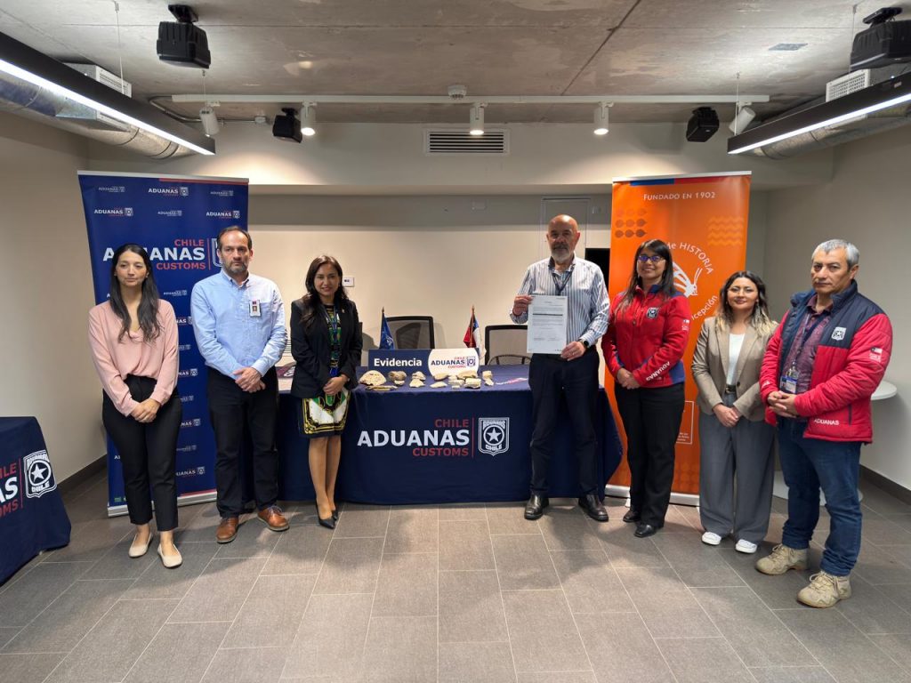 Museo de Historia Natural de Concepción recibió 112 fósiles