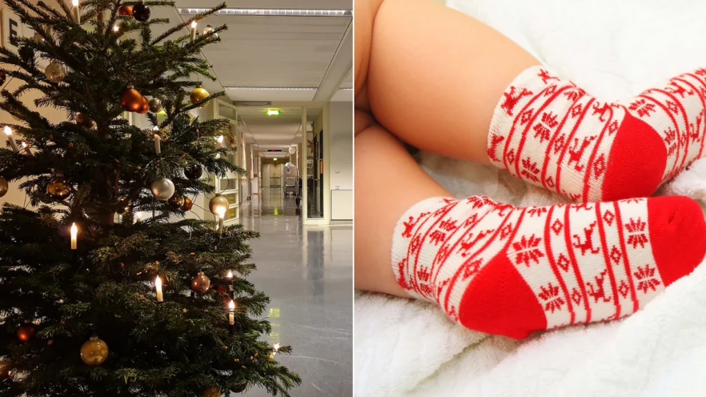 'Ni me di cuenta hasta que vi ramas'