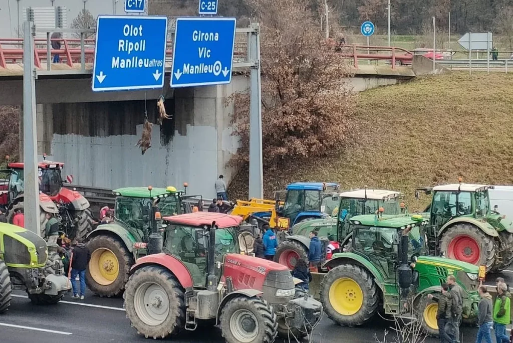 Peste porcina africana: agricultores y ganaderos catalanes protestan en la autovía C-25 con una tractorada y un jabalí y un corzo colgados de un puente