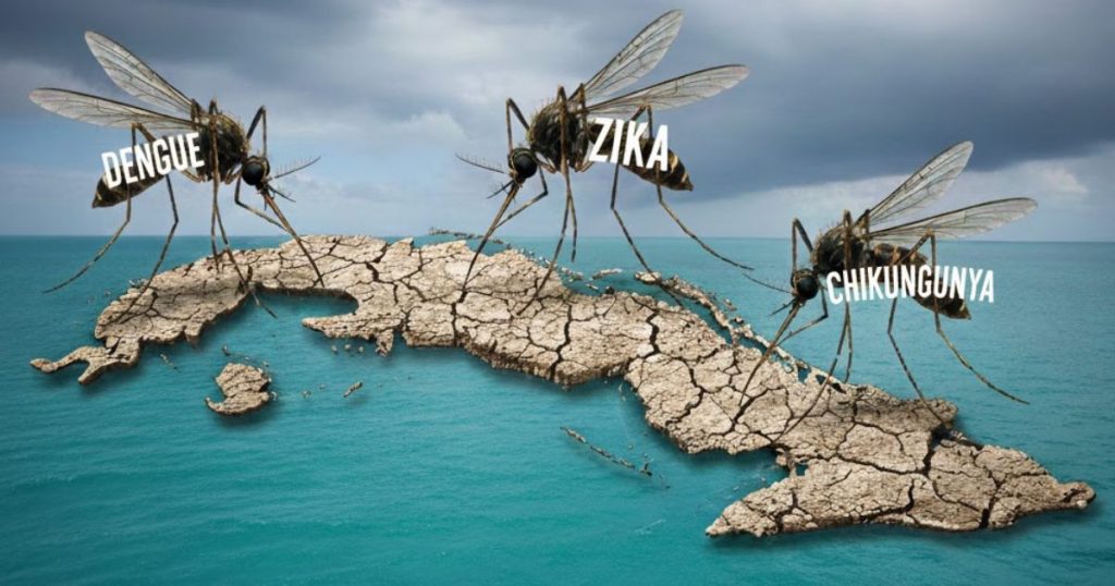 Qué es una “tormenta inmunológica” y cómo puede afectar a los cubanos ante el brote de chikungunya