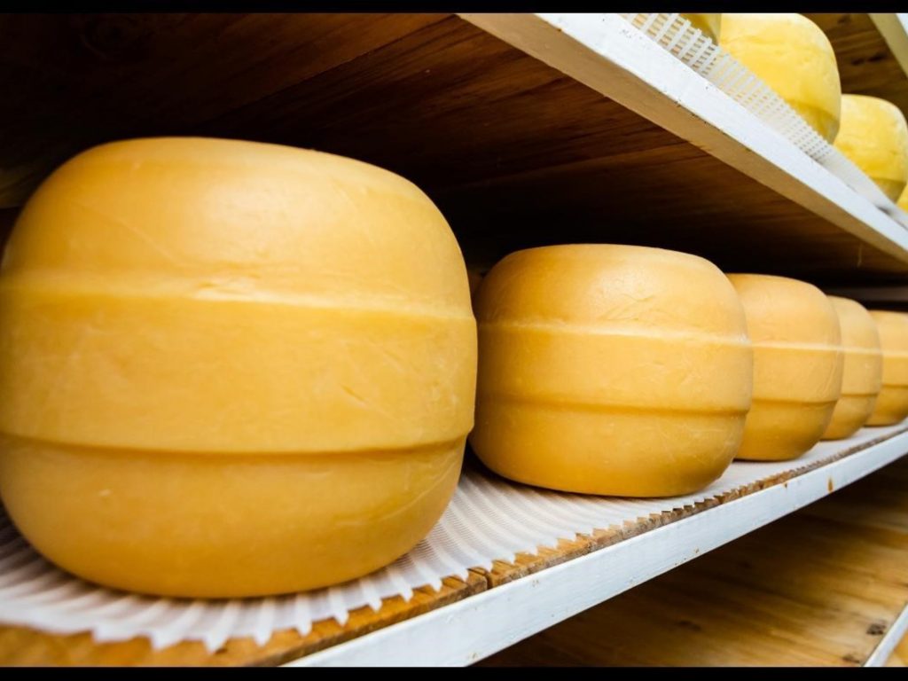 Un queso producido en Santa Fe ganó la medalla de plata en el Mundial de Suiza.