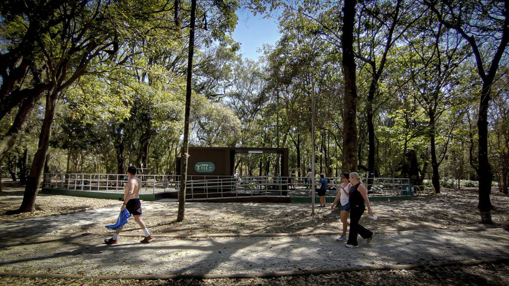 Usuario de la nota 9,1 en Ibirapuera, diz pesquisa Datafolha - 14/12/2025 - Painel
