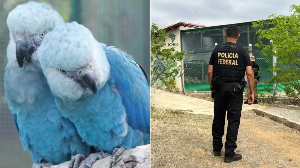 autoridades investigan posible negligencia de empresa responsable