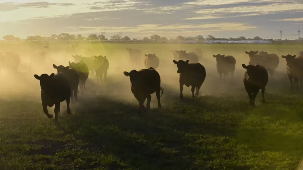 el Gobierno impulsa cambios para liberar la compra a extranjeros el Gobierno impulsa cambios para liberar la compra a extranjeros