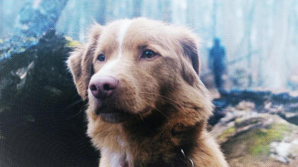 el terror más viral llega a Filmin