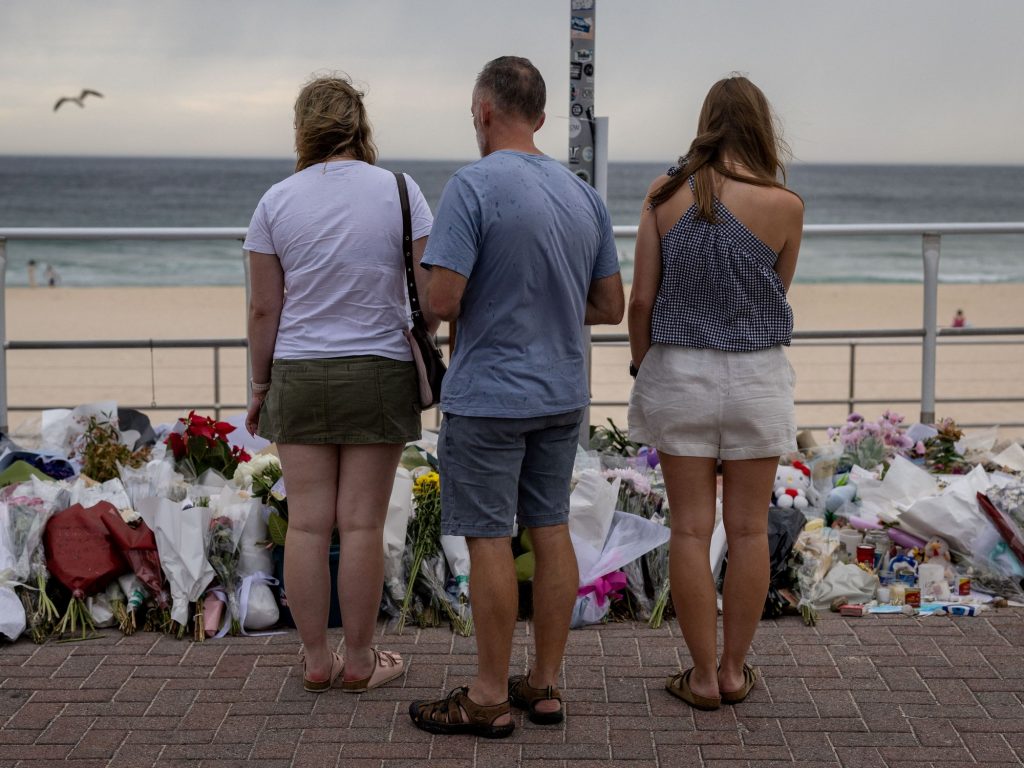 la experiencia argentina del “PEVAF” la experiencia argentina del "PEVAF"