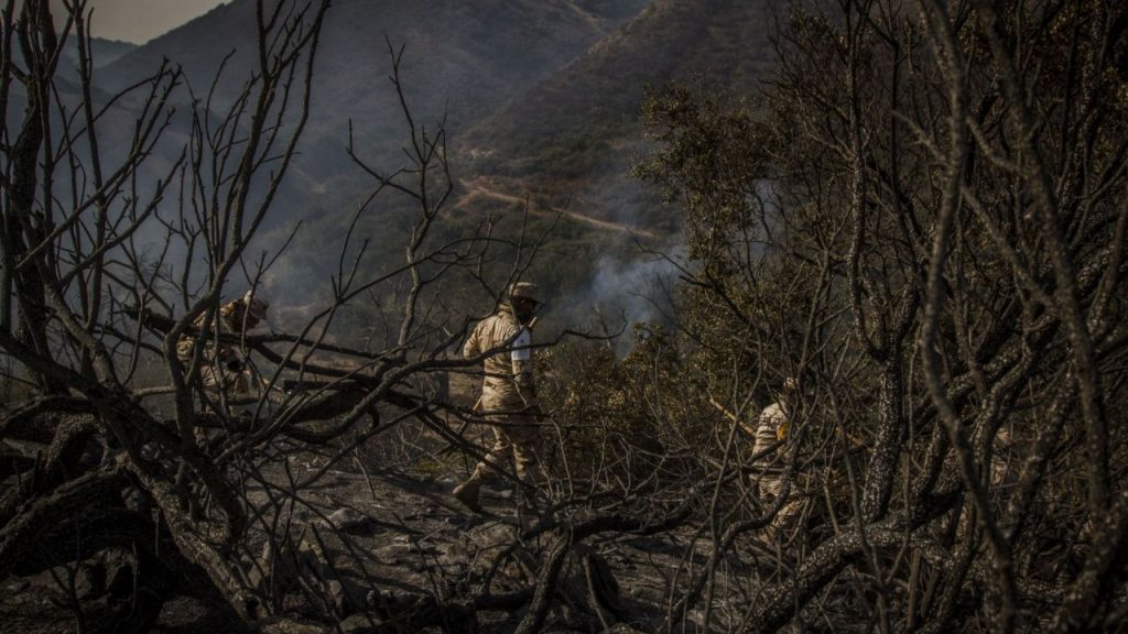 ¿Qué son los vientos de Santa Ana y cómo afectarán a Tijuana durante esta semana?