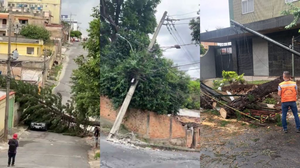 Árvore cai em templo após vendaval; BH está sollozando alerta de chuva