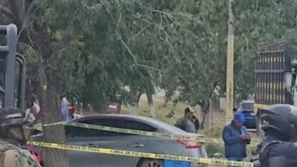 Asesinan a tres compradores de naranja en Álamo, Veracruz