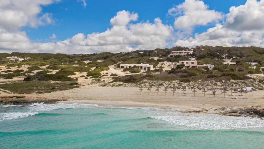 Baleària busca socios con los que impulsen la regeneración de zonas verdes en Formentera Baleària busca socios con los que impulsen la regeneración de zonas verdes en Formentera