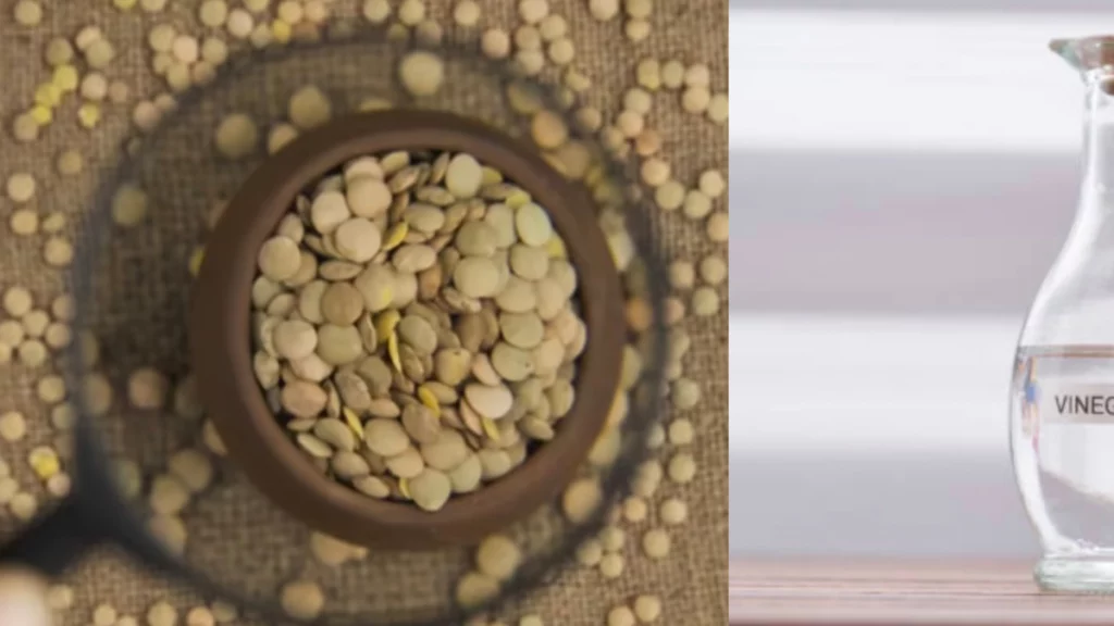 Beneficios de poner vinagre en la olla al hacer las lentejas