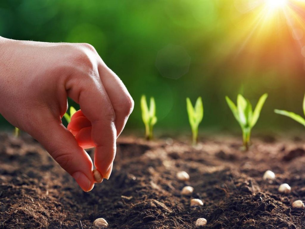 Bonos de carbono, otra industria sin humo que comienza a traer dólares