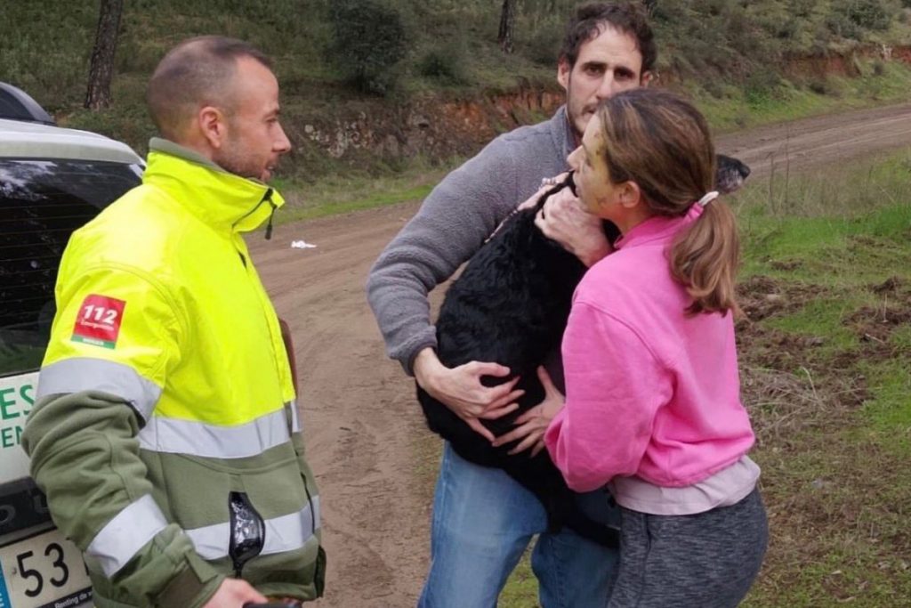 Boro vuelve a casa luego del siniestro ferroviario en España
