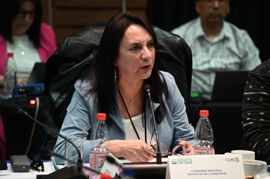 Consejera Regional llama a eliminar trabas