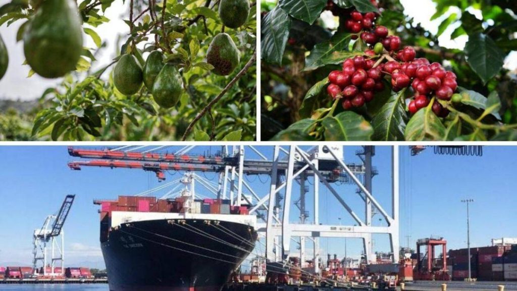 Cuentas Claras / Así iba hasta noviembre el comercio con Ecuador