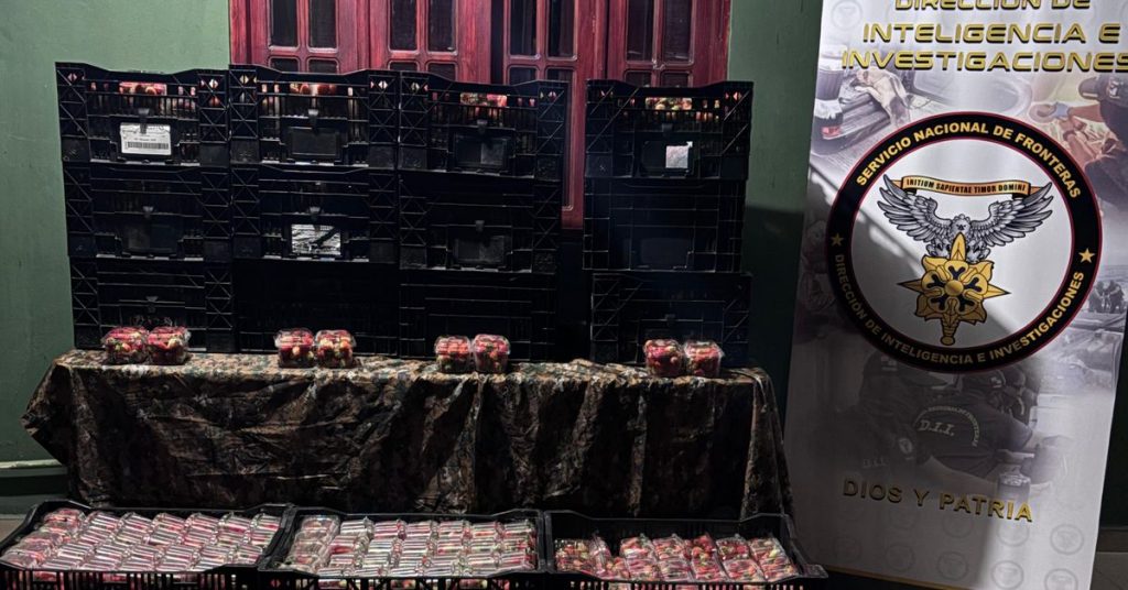 Decomisan 900 envases con fresas de presunto contrabando en Chiriquí - Nacionales