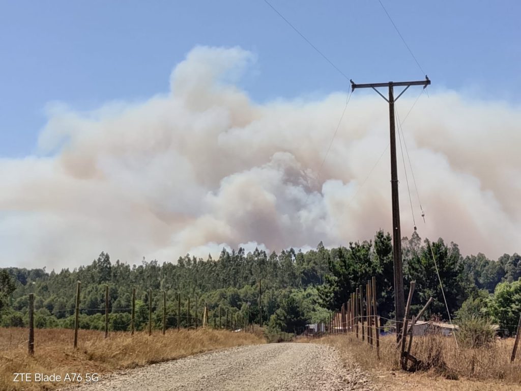 Detienen a un hombre de 63 años por presunta participación en incendios en La Araucanía Detienen a un hombre de 63 años por presunta participación en incendios en La Araucanía