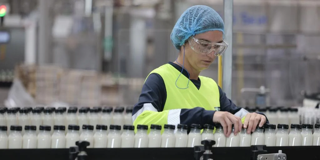 El PIB creció un 2,8% en 2025, siete décimas menos, tras acelerarse en el último trimestre un 0,8% El PIB creció un 2,8% en 2025, siete décimas menos, tras acelerarse en el último trimestre un 0,8%