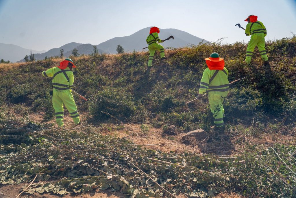 El Teniente refuerza la limpieza de territorios y la instalación de cortafuegos para reducir el riesgo de incendios forestales