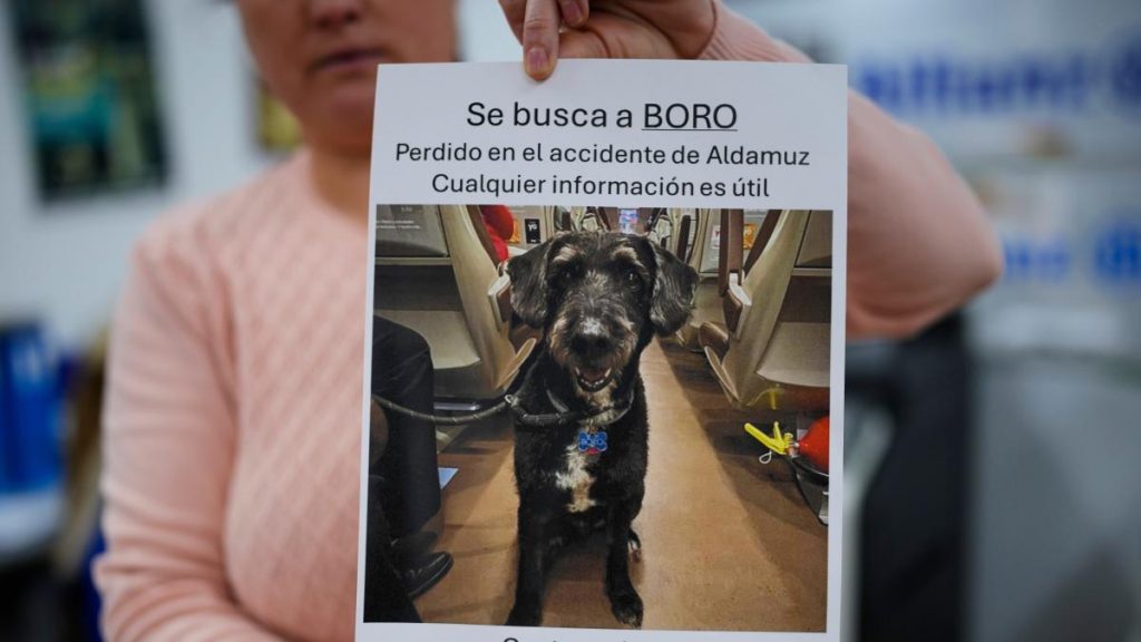 El morro del perro Boro por Joaquín Luna