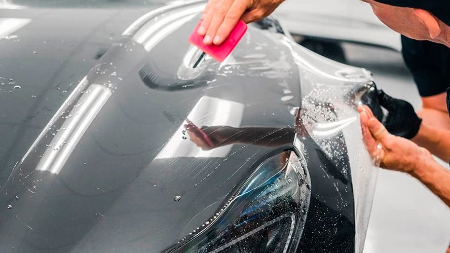 El sol y los residuos son los principales enemigos El sol y los residuos son los principales enemigos