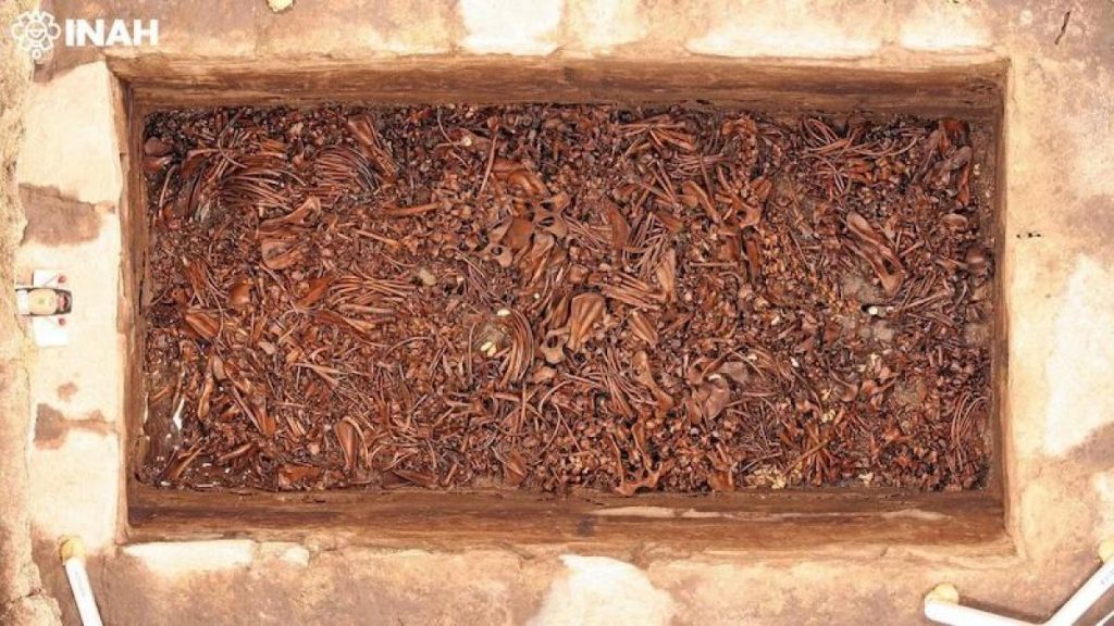 El zoológico de Moctezuma era un recinto para bestias salvajes enfermas que se habrían utilizado como “alimento para los dioses”