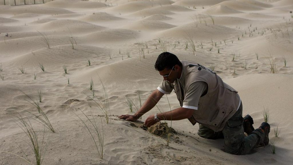 Es más barato prevenir y restaurar que curar. Es más barato prevenir y restaurar que curar.