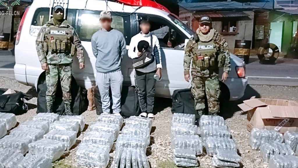 FELCN encuentra droga en Beni y Potosí en dos operativos, hay dos aprehendidos