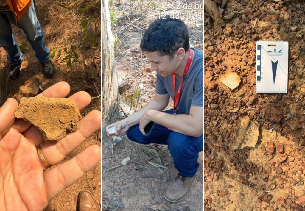 Família descobre sitio arqueológico durante excavación para construir cerca em fazenda no Tocantins Família descobre sitio arqueológico durante excavación para construir cerca em fazenda no Tocantins