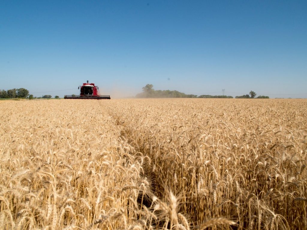 Finaliza una campaña histórica fina que dejaría hasta US$ 4.700 millones en exportaciones