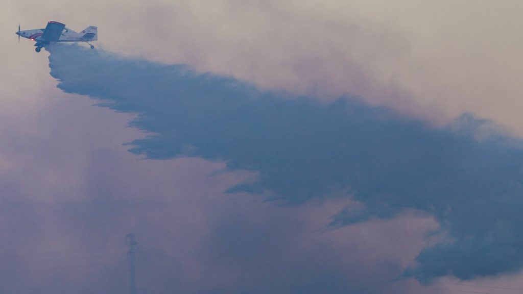 Fiscalía investiga origen de incendios forestales en la Región de Ñuble