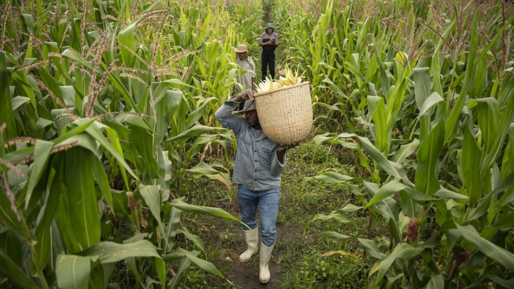 Fundación Rockefeller y CAF sellan alianza para ampliar oportunidades de seguridad alimentaria y cambio climático en América Latina