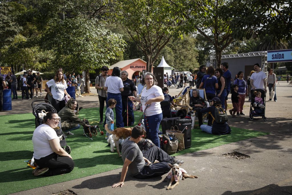 Gobernador de SP intensifica castrações em aceno à causa pet - 14/01/2026 - Painel