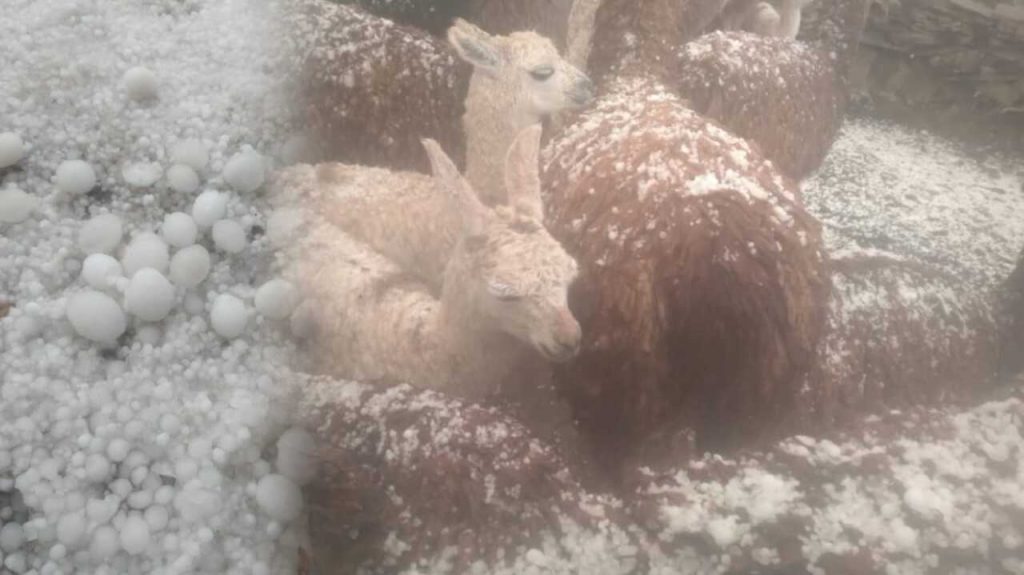 Granizada azota la comunidad Ch´alla Grande, en Tacaparí; hay más de 200 familias afectadas