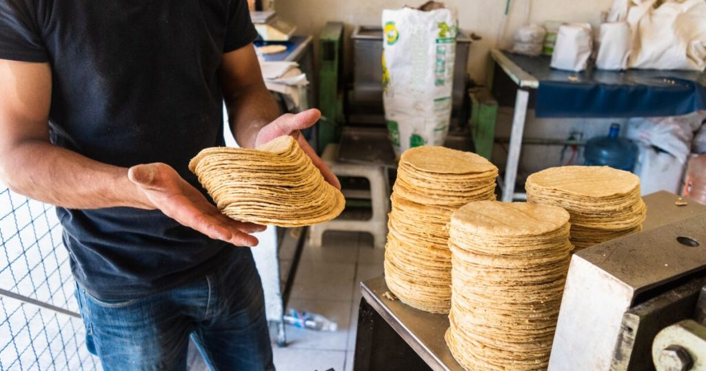 Gruma acuerda modificar contratos con tortilleros tras resolución antimonopolio Gruma acuerda modificar contratos con tortilleros tras resolución antimonopolio